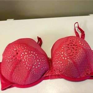 Cacique Vibrant Pink Lace Bra